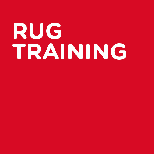 Rug Training
